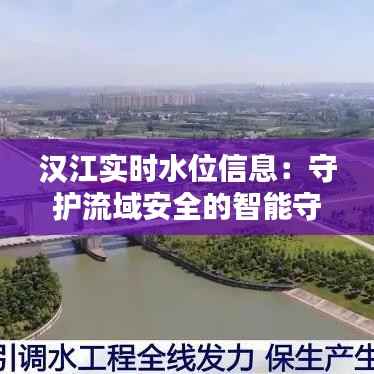 汉江实时水位信息：守护流域安全的智能守护者