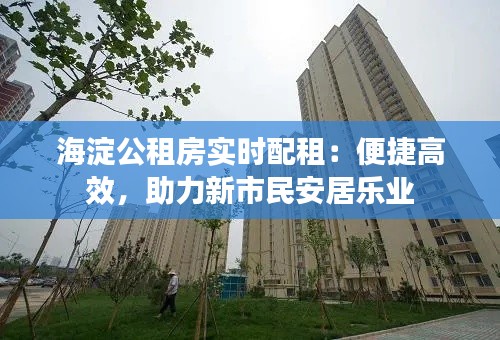 海淀公租房实时配租：便捷高效，助力新市民安居乐业