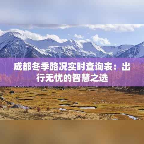 成都冬季路况实时查询表：出行无忧的智慧之选