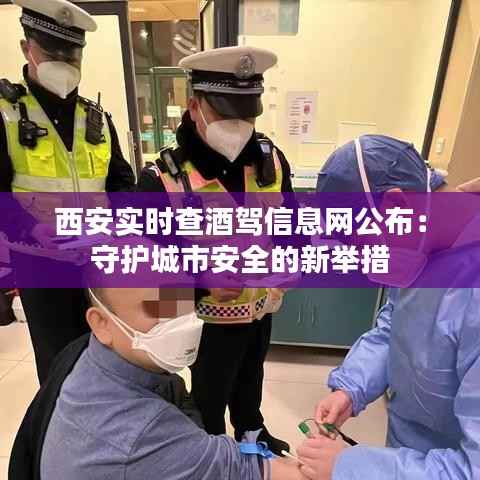 西安实时查酒驾信息网公布：守护城市安全的新举措