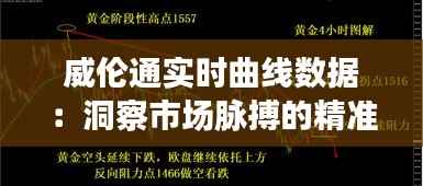 威伦通实时曲线数据：洞察市场脉搏的精准利器
