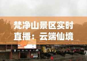 梵净山景区实时直播：云端仙境，尽收眼底