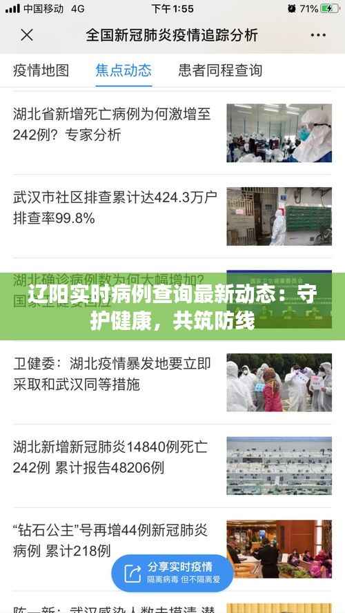 辽阳实时病例查询最新动态：守护健康，共筑防线