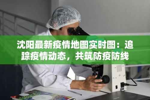 沈阳最新疫情地图实时图：追踪疫情动态，共筑防疫防线