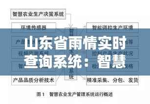 山东省雨情实时查询系统：智慧农业的守护神