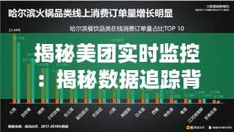 揭秘美团实时监控：揭秘数据追踪背后的秘密