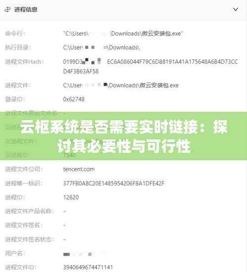 云枢系统是否需要实时链接：探讨其必要性与可行性
