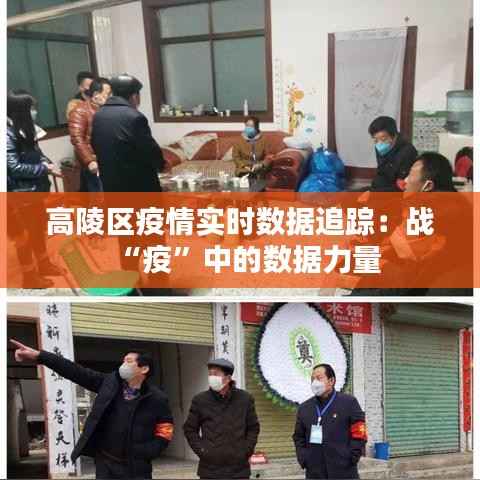 高陵区疫情实时数据追踪：战“疫”中的数据力量