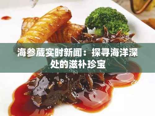海参葳实时新闻：探寻海洋深处的滋补珍宝