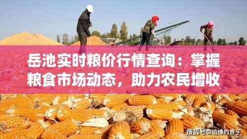 岳池实时粮价行情查询：掌握粮食市场动态，助力农民增收