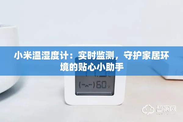 小米温湿度计：实时监测，守护家居环境的贴心小助手