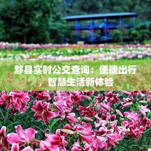 黟县实时公交查询：便捷出行，智慧生活新体验