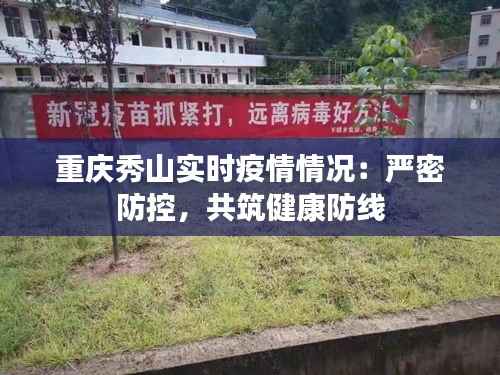重庆秀山实时疫情情况：严密防控，共筑健康防线