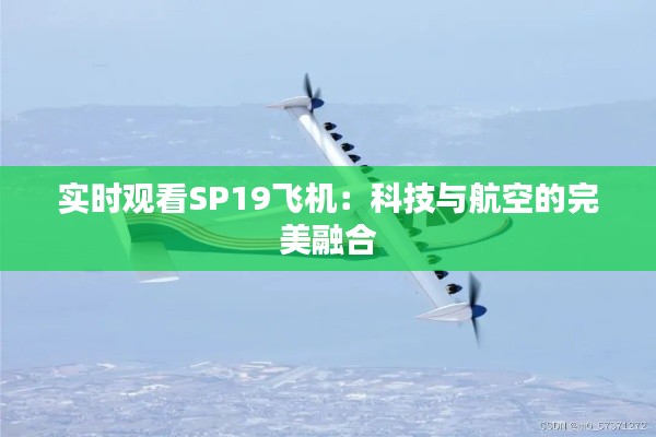 实时观看SP19飞机：科技与航空的完美融合