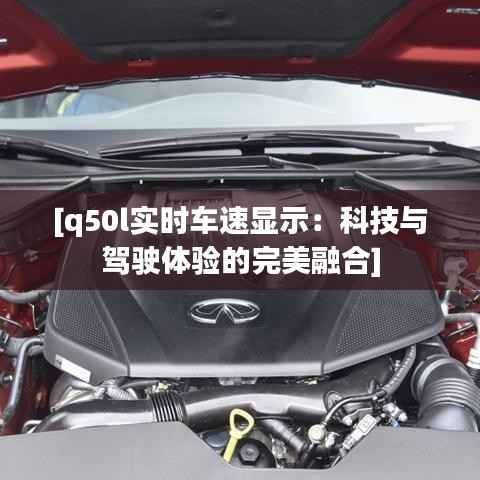 东张西望 第5页