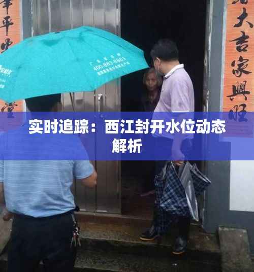 实时追踪：西江封开水位动态解析