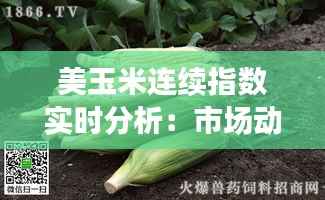 美玉米连续指数实时分析：市场动态与投资策略