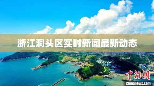 浙江洞头区实时新闻最新动态