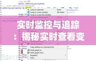 实时监控与追踪：揭秘实时查看变量工具的神秘之地