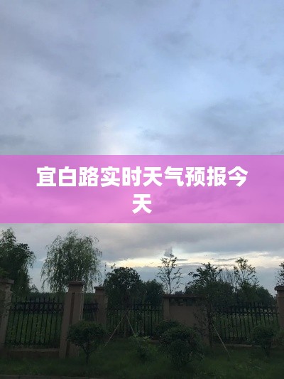 宜白路实时天气预报今天