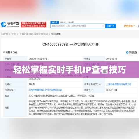 轻松掌握实时手机IP查看技巧