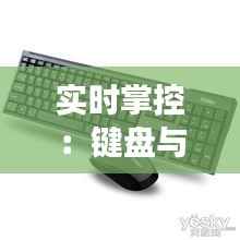 实时掌控：键盘与鼠标在现代办公与游戏中的协同作用