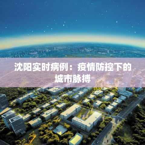 沈阳实时病例：疫情防控下的城市脉搏