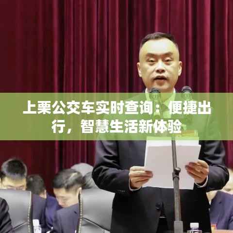 上栗公交车实时查询：便捷出行，智慧生活新体验