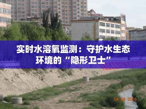 实时水溶氧监测：守护水生态环境的“隐形卫士”