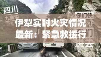 伊犁实时火灾情况最新：紧急救援行动与火场进展