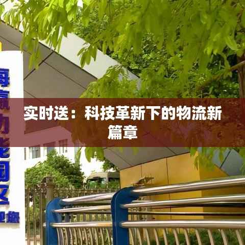 实时送：科技革新下的物流新篇章