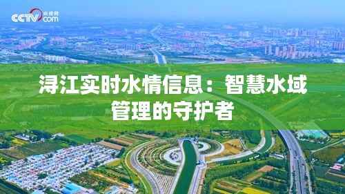 浔江实时水情信息：智慧水域管理的守护者