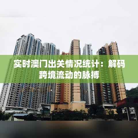 实时澳门出关情况统计：解码跨境流动的脉搏