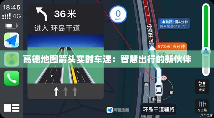 飞箭如蝗 第5页