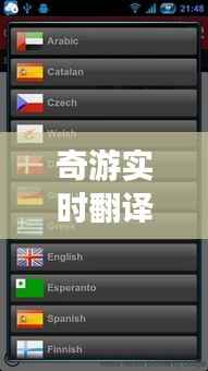 奇游实时翻译：打破语言壁垒，畅游全球无障碍