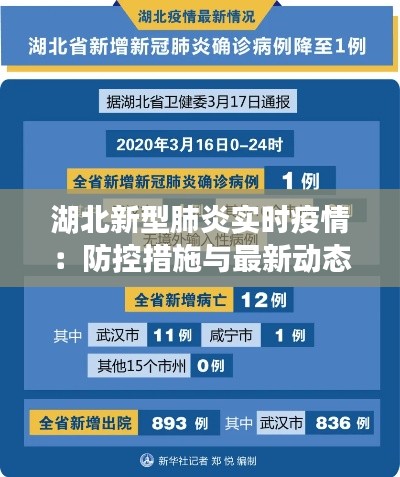 湖北新型肺炎实时疫情：防控措施与最新动态