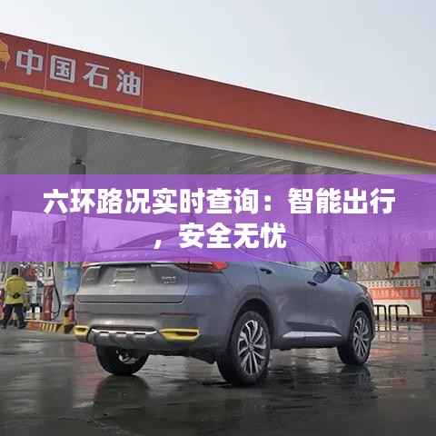 悬驼就石 第5页