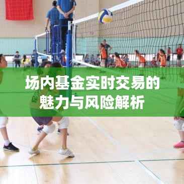 场内基金实时交易的魅力与风险解析