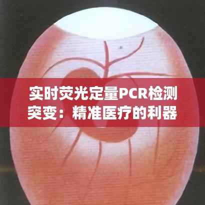 实时荧光定量PCR检测突变：精准医疗的利器
