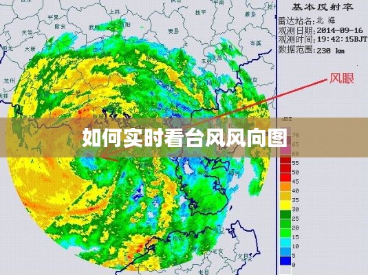 如何实时看台风风向图