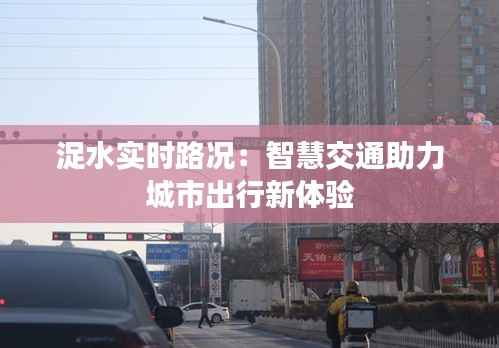 浞水实时路况：智慧交通助力城市出行新体验