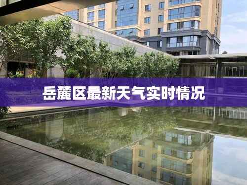 岳麓区最新天气实时情况