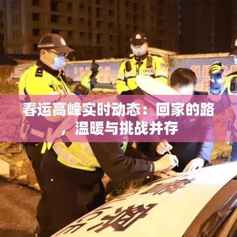 春运高峰实时动态：回家的路，温暖与挑战并存