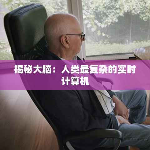 揭秘大脑：人类最复杂的实时计算机
