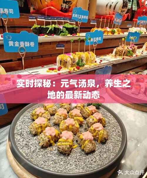 实时探秘：元气汤泉，养生之地的最新动态