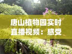 唐山植物园实时直播视频：感受大自然的脉搏