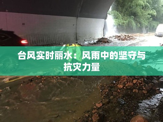 台风实时丽水：风雨中的坚守与抗灾力量