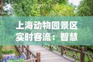 上海动物园景区实时客流：智慧管理下的生态旅游新体验
