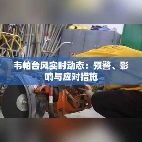 韦帕台风实时动态：预警、影响与应对措施