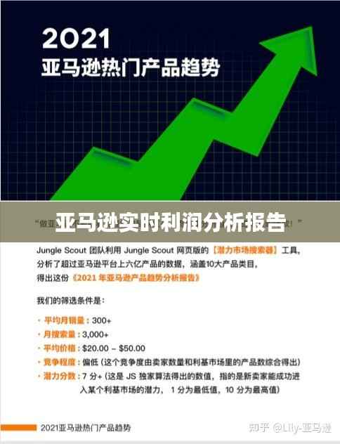 亚马逊实时利润分析报告